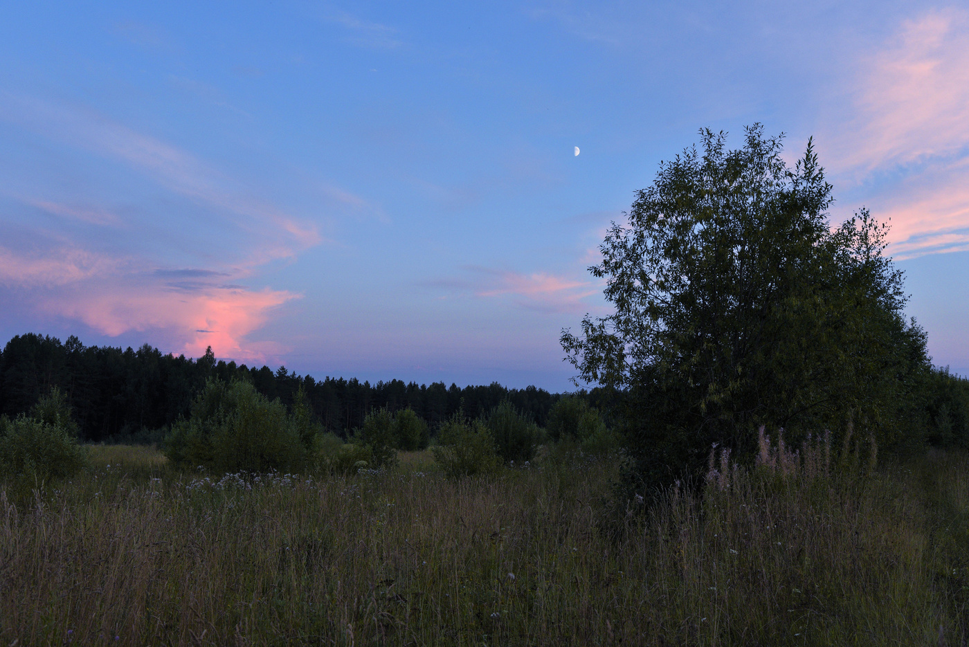 Вечерний этюд с молодой луной