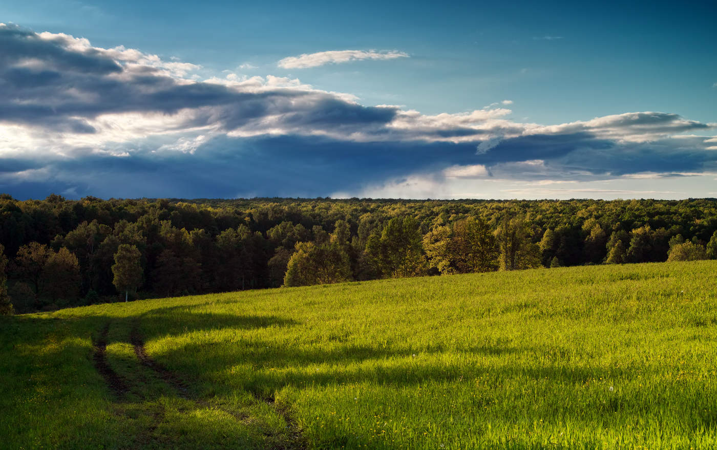 Июньские грозы