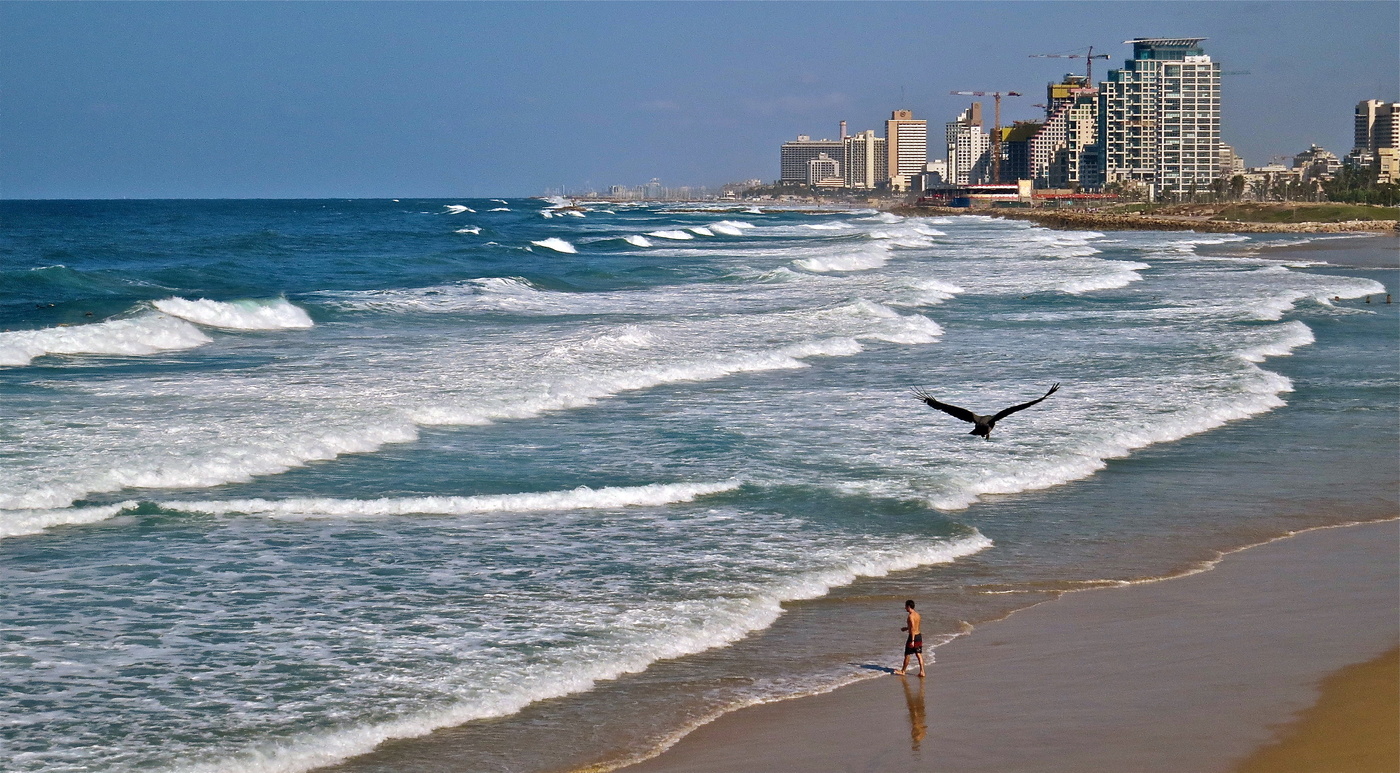 Конец сезона