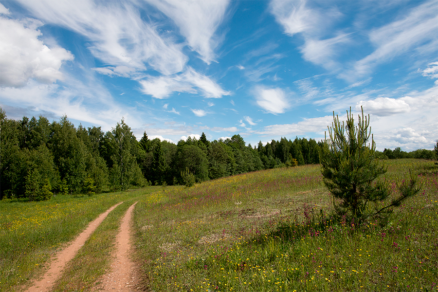 Родная ширь, родная даль