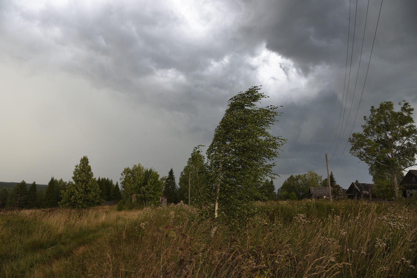 Ветренный день ...