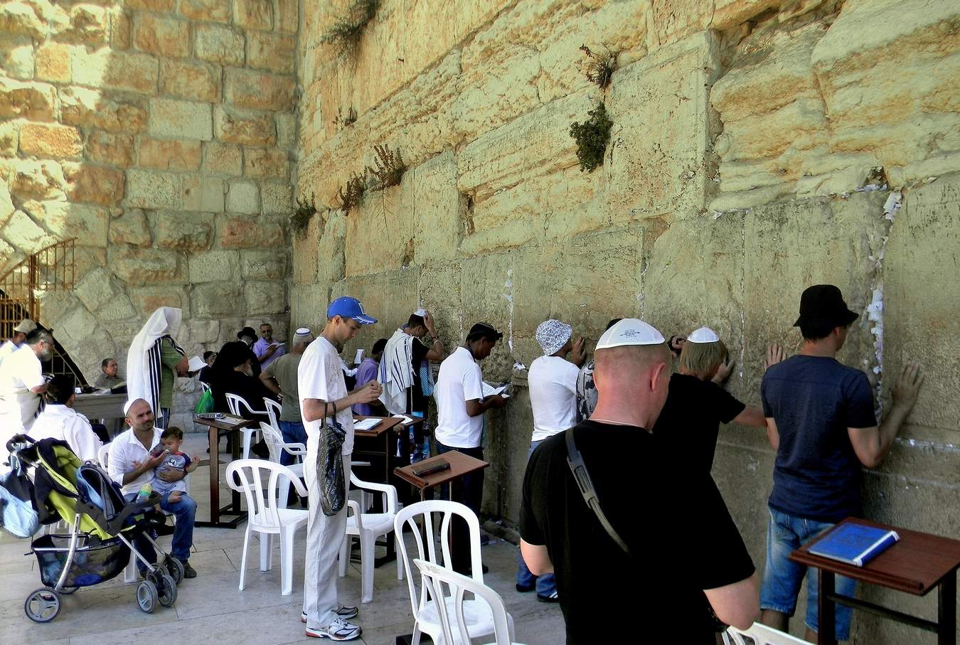 СтеноТерапия