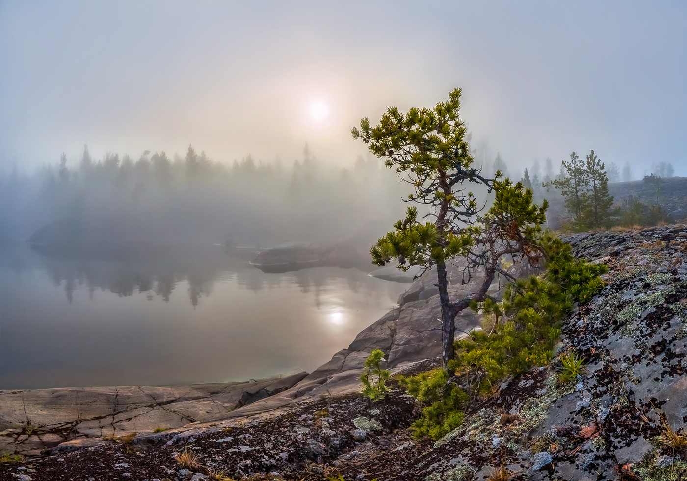 На каменном острове