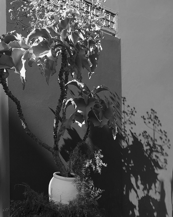 СтеноТерапия