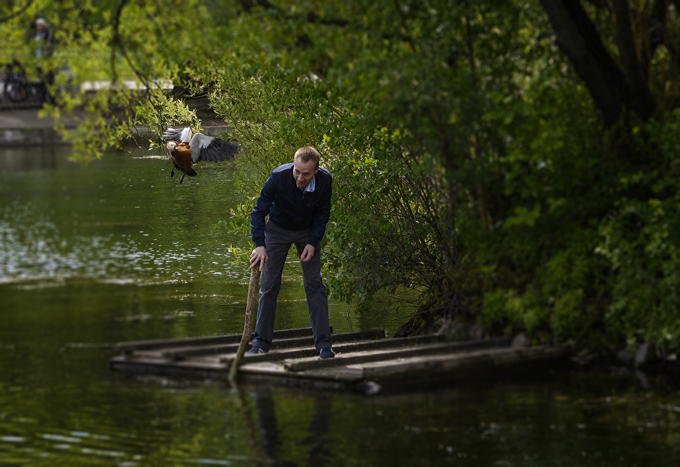 сейчас вылетит птичка!