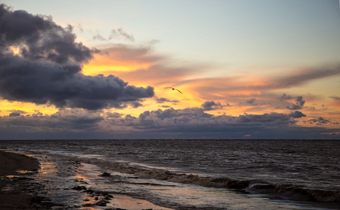 Полет на закат