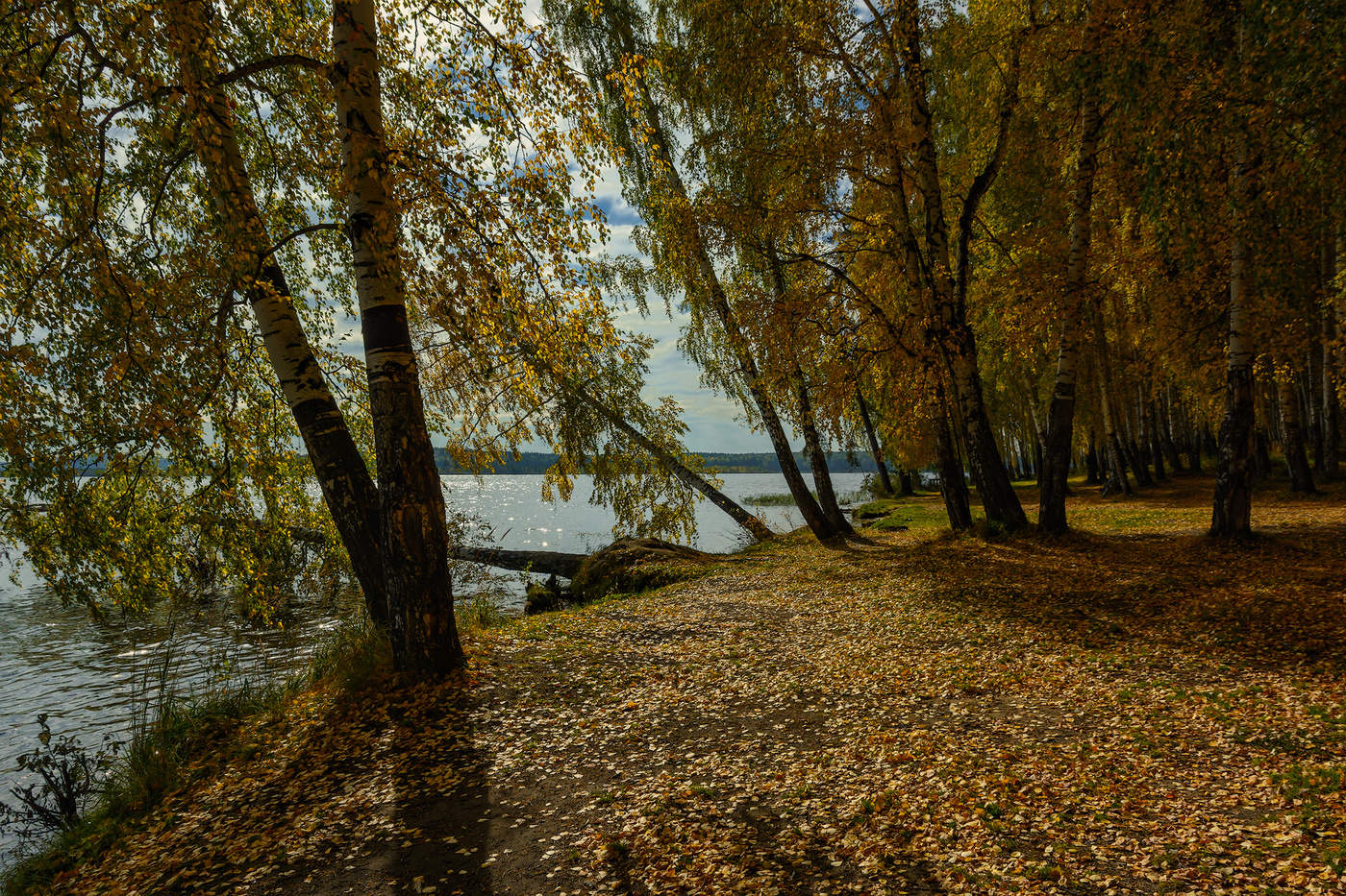 Берег озера