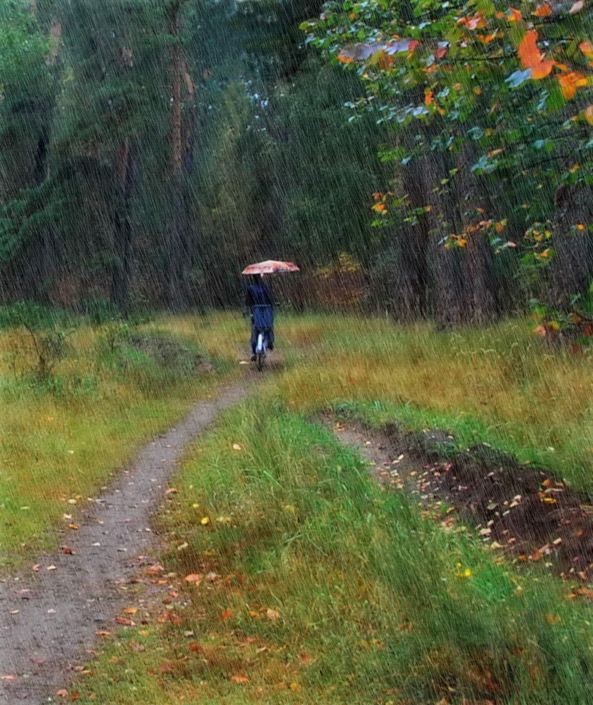 мелодия сентября