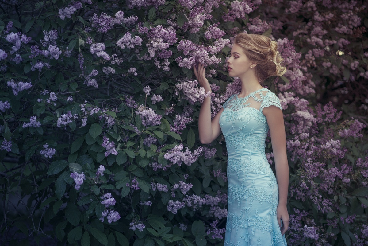 Июльская сирень