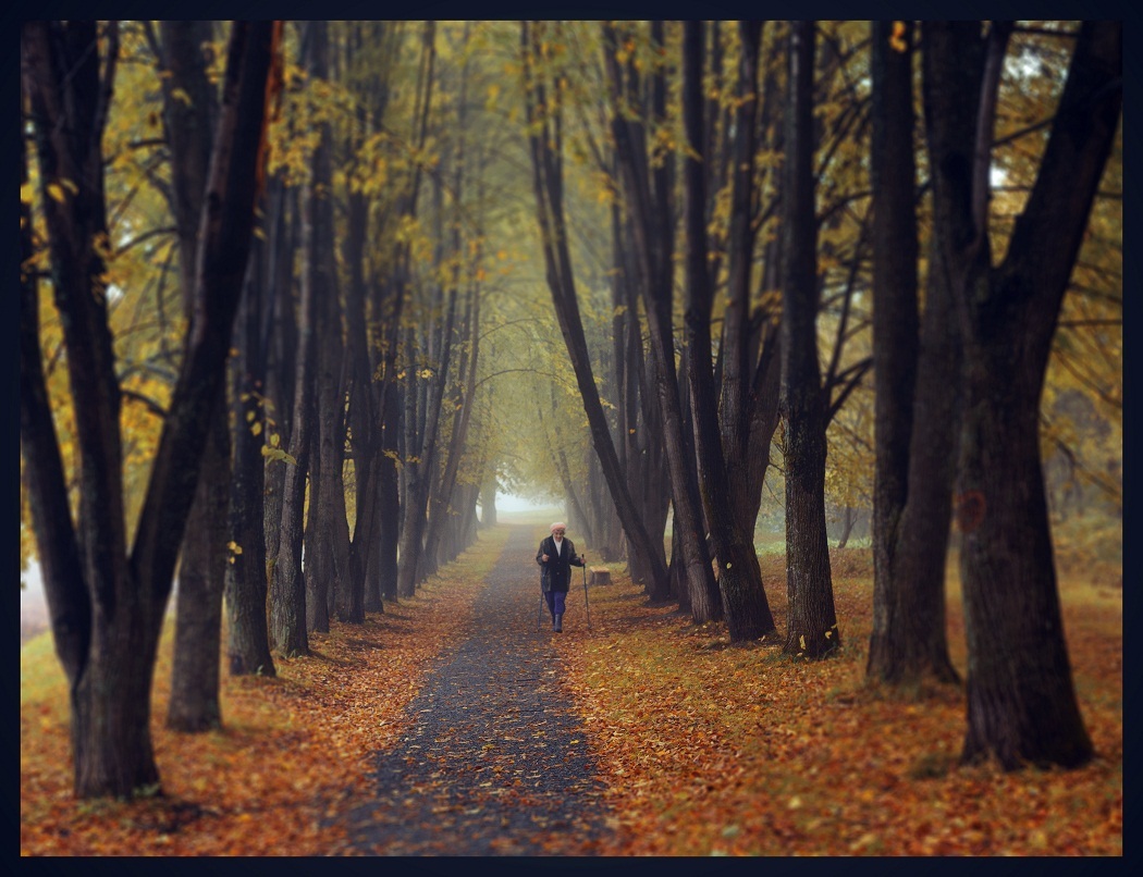 Пргулка в осень.