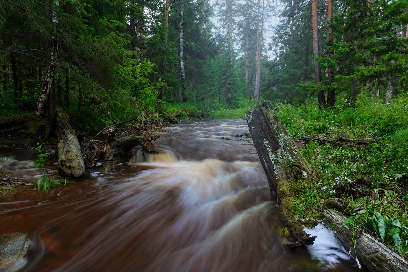 Бурный поток