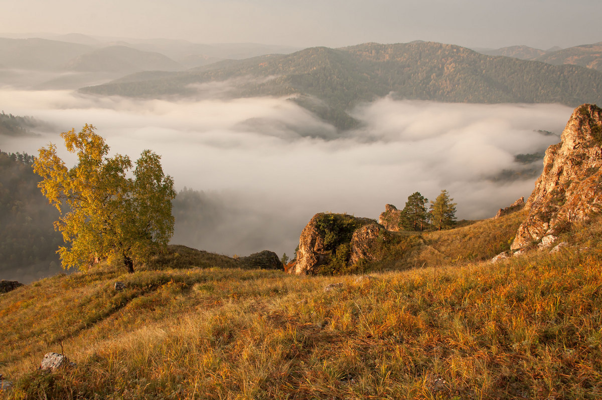 Золото осени
