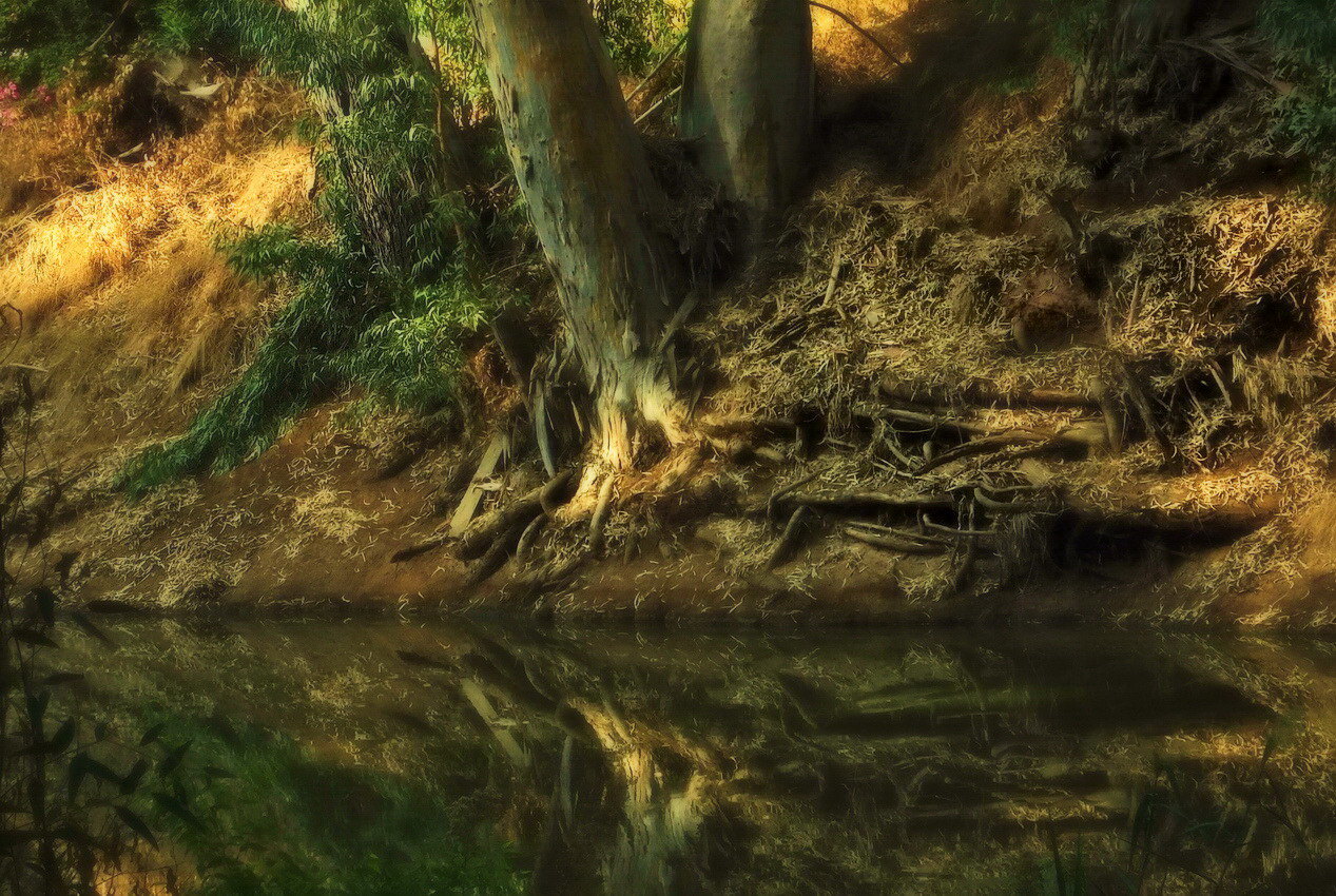 ДРУГОЙ БЕРЕГ