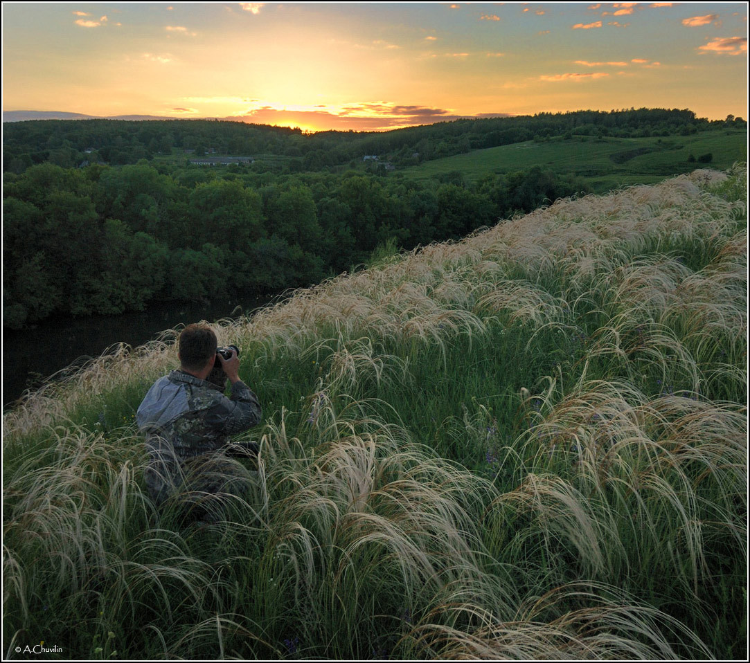 Ковыль,июнь