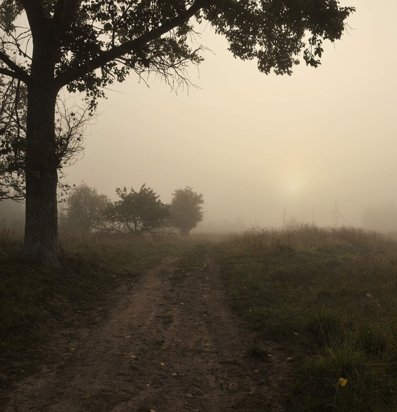 Утренний блюз ...