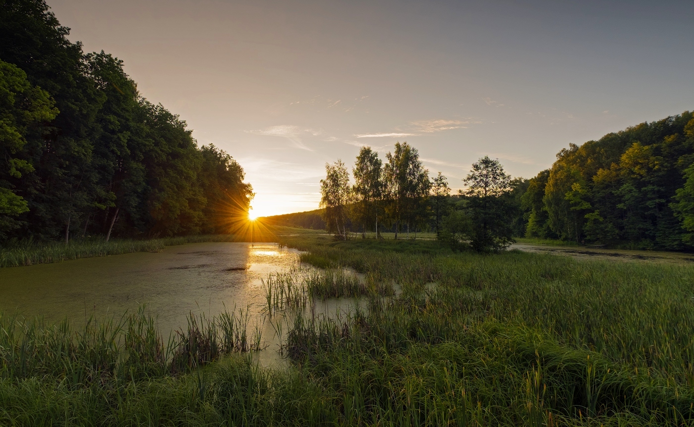 Первые лучи