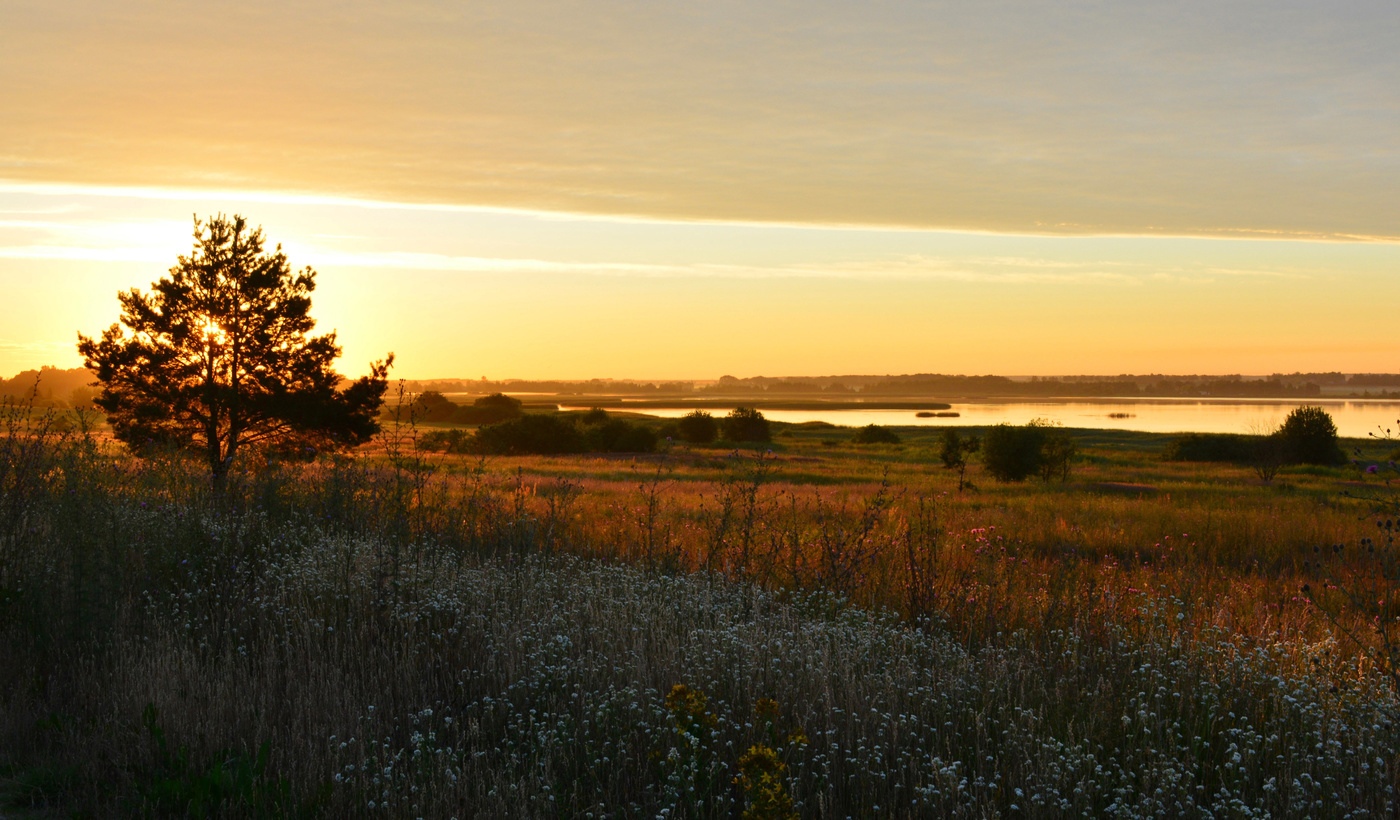 Рассветные дали