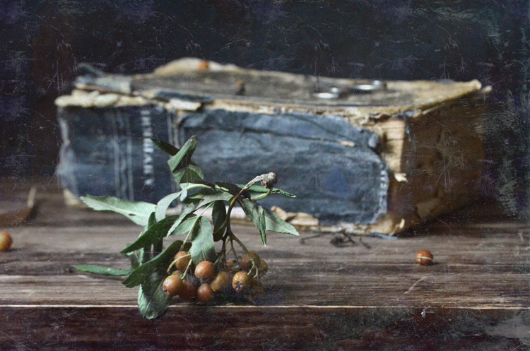 С книгой и рябиной