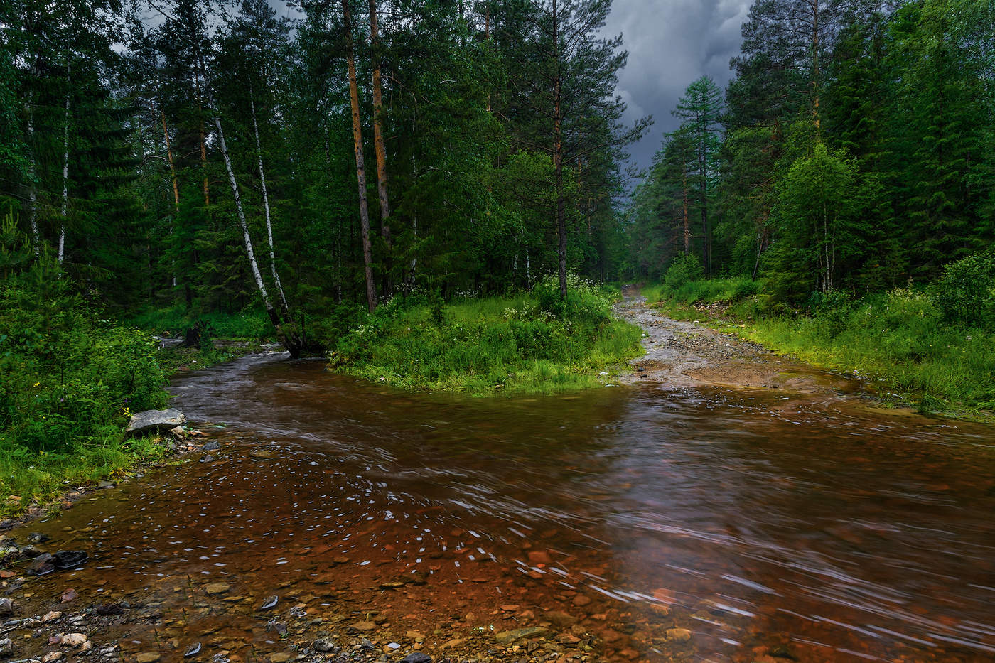 Ненастное лето