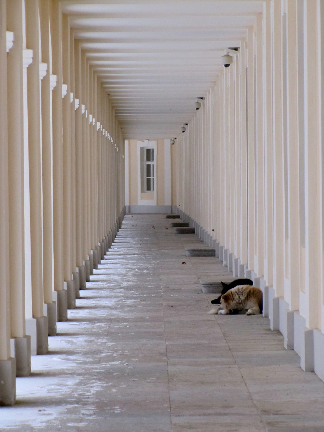 Полосатая пятница