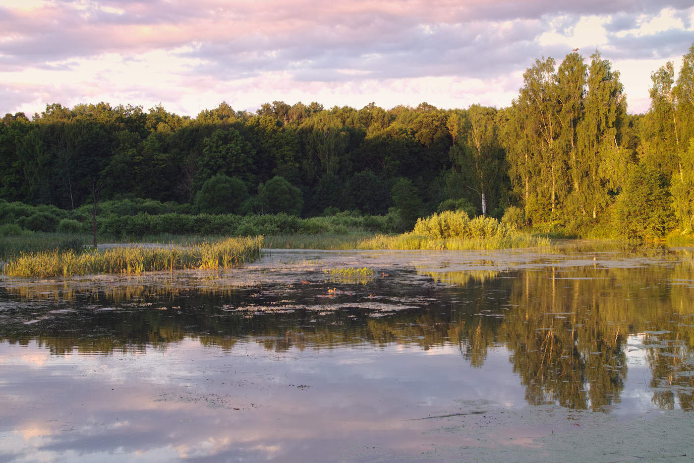 Однажды прохладным утром