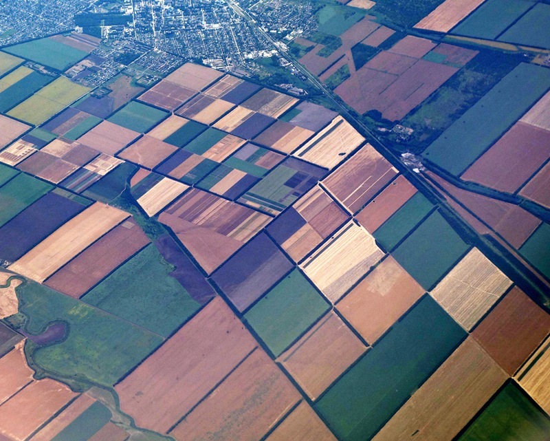 Полосатая пятница