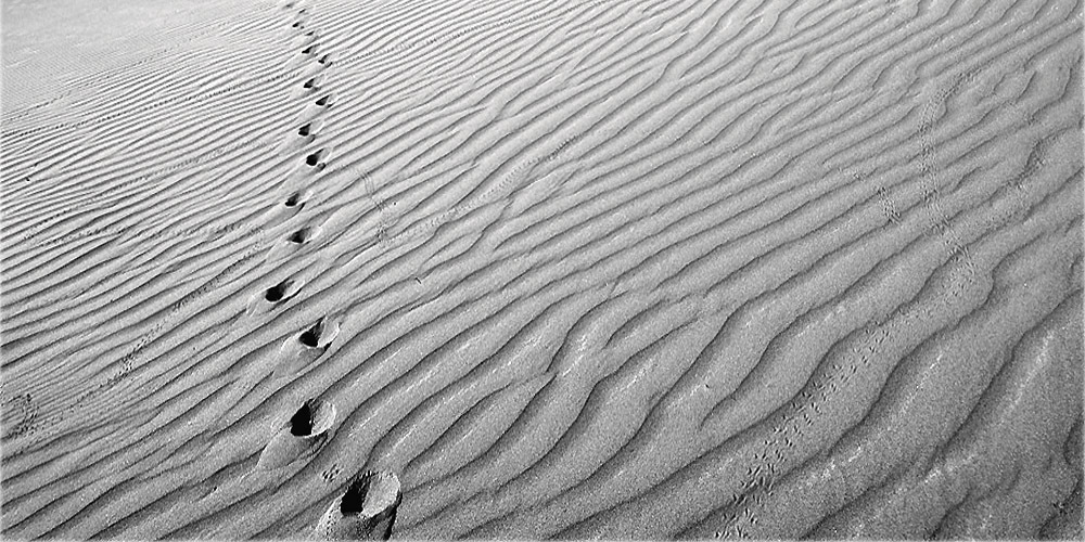 Полосатая пятница