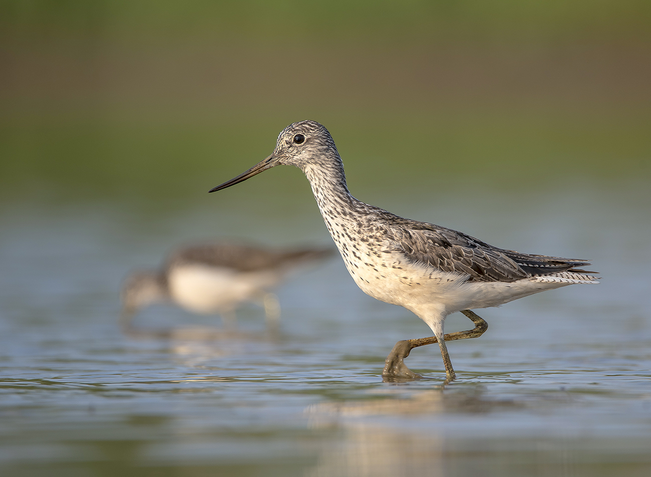На прогулке