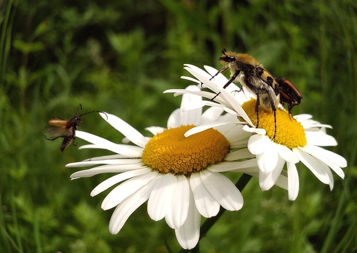 Из жизни отдыхающих...