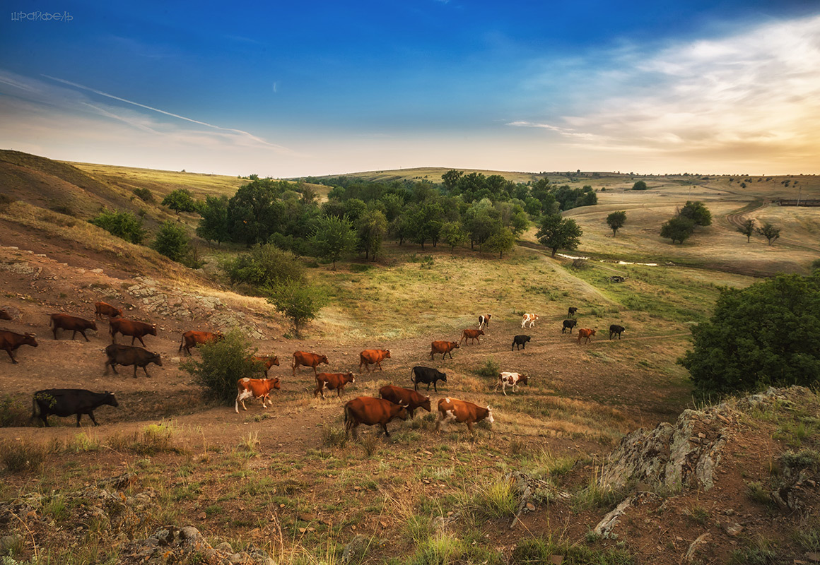 Домой. Вечер 16 июля.