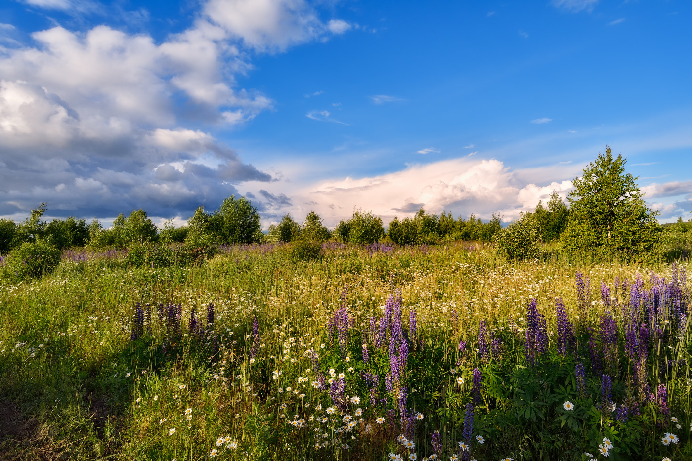 переменчивое лето
