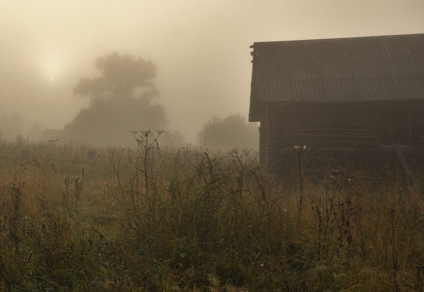 Раннее утро ...