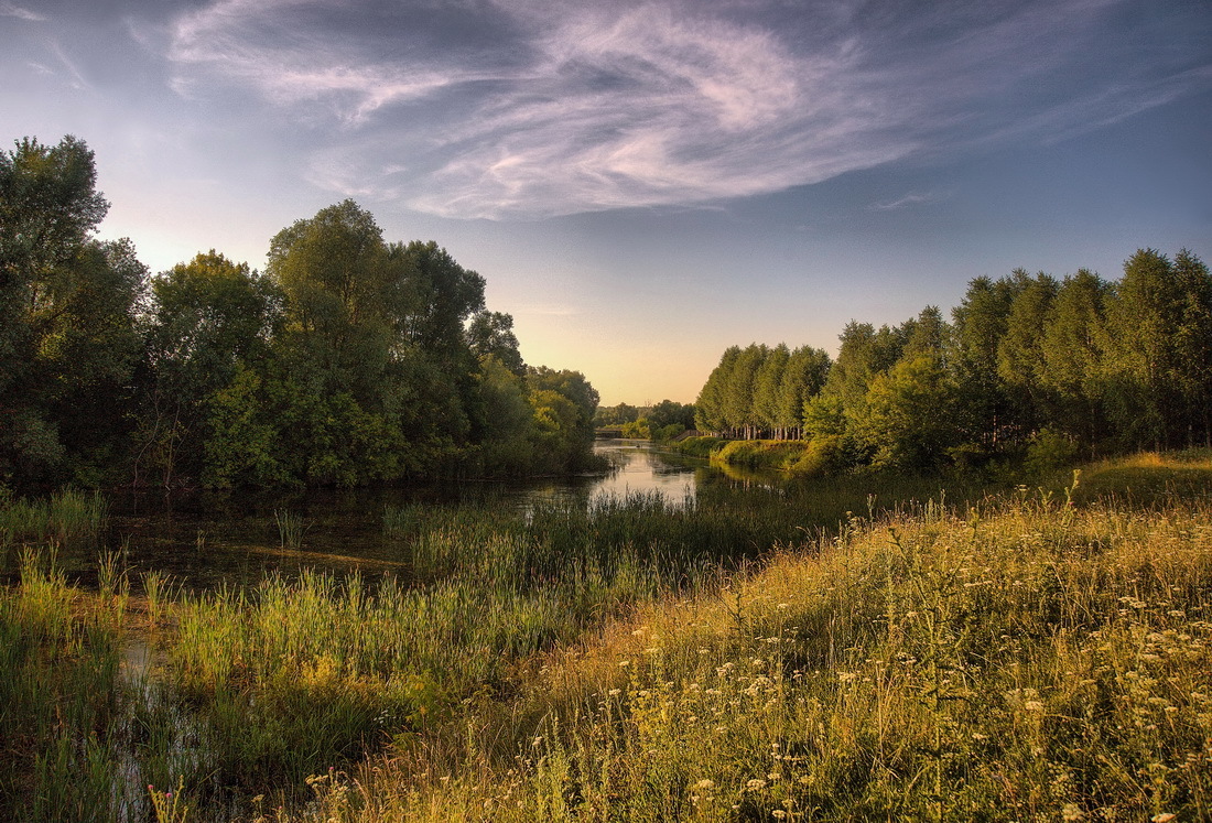 Пора сенокоса