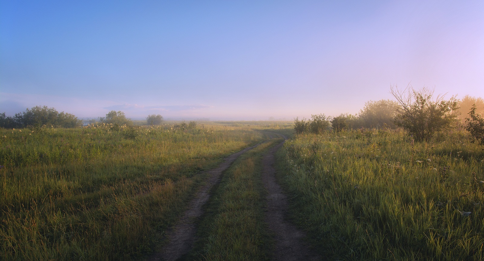 Луговое утро.(2)