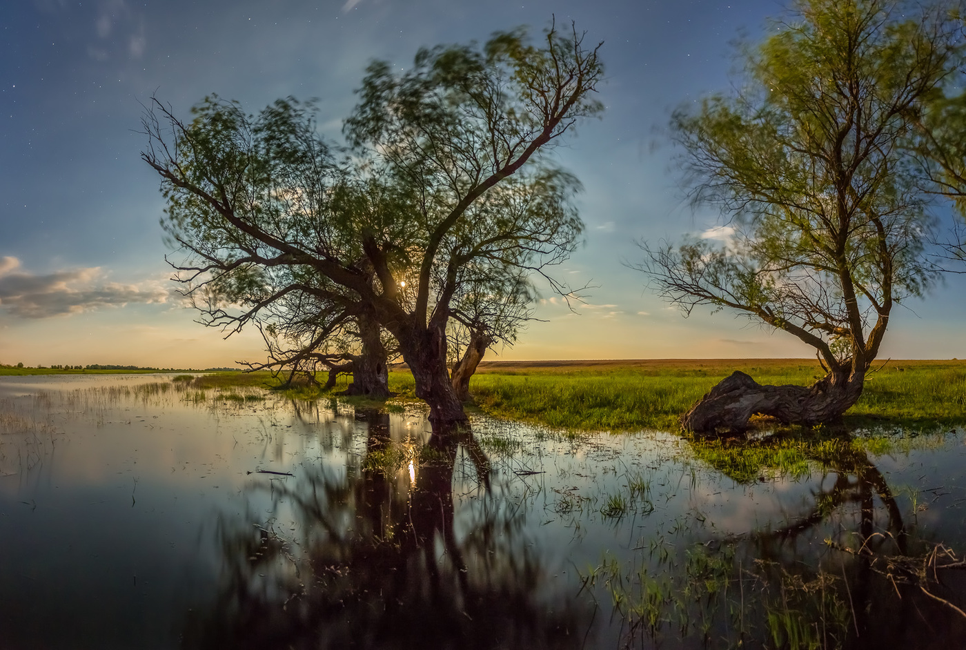 Танец в полнолунье