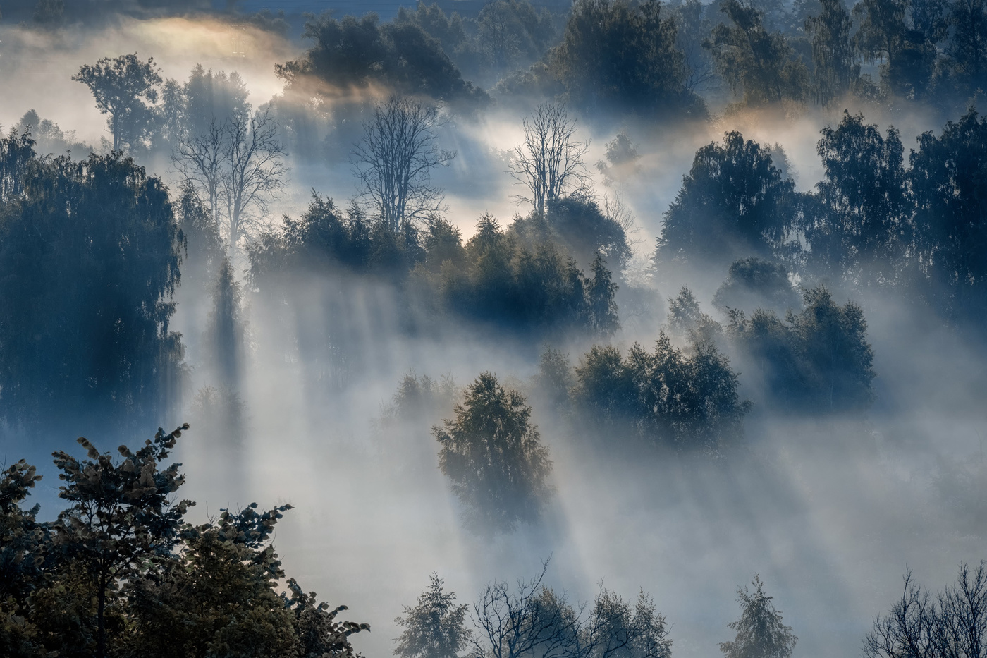 Солнце сквозь
