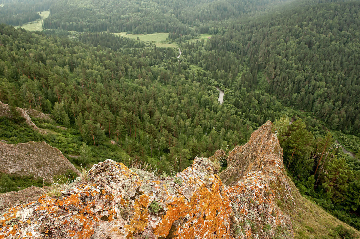 В долине реки Базаиха