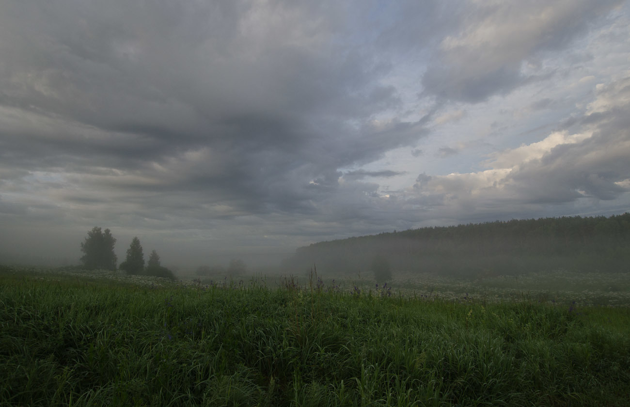 Июльский гром