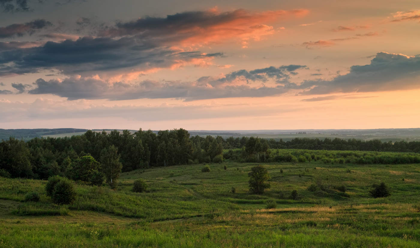 Там где зреет луговая клубника