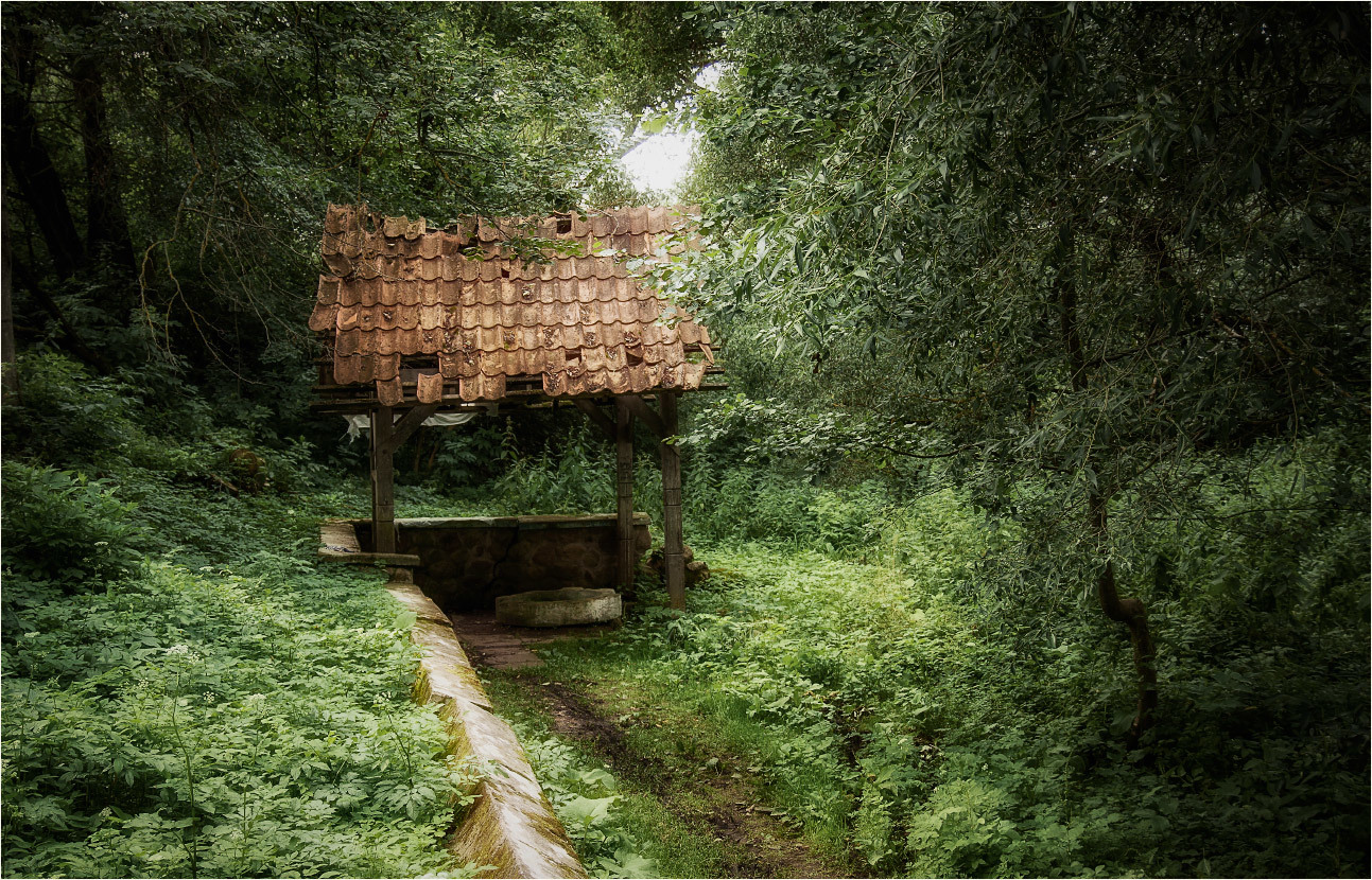 Старый родник