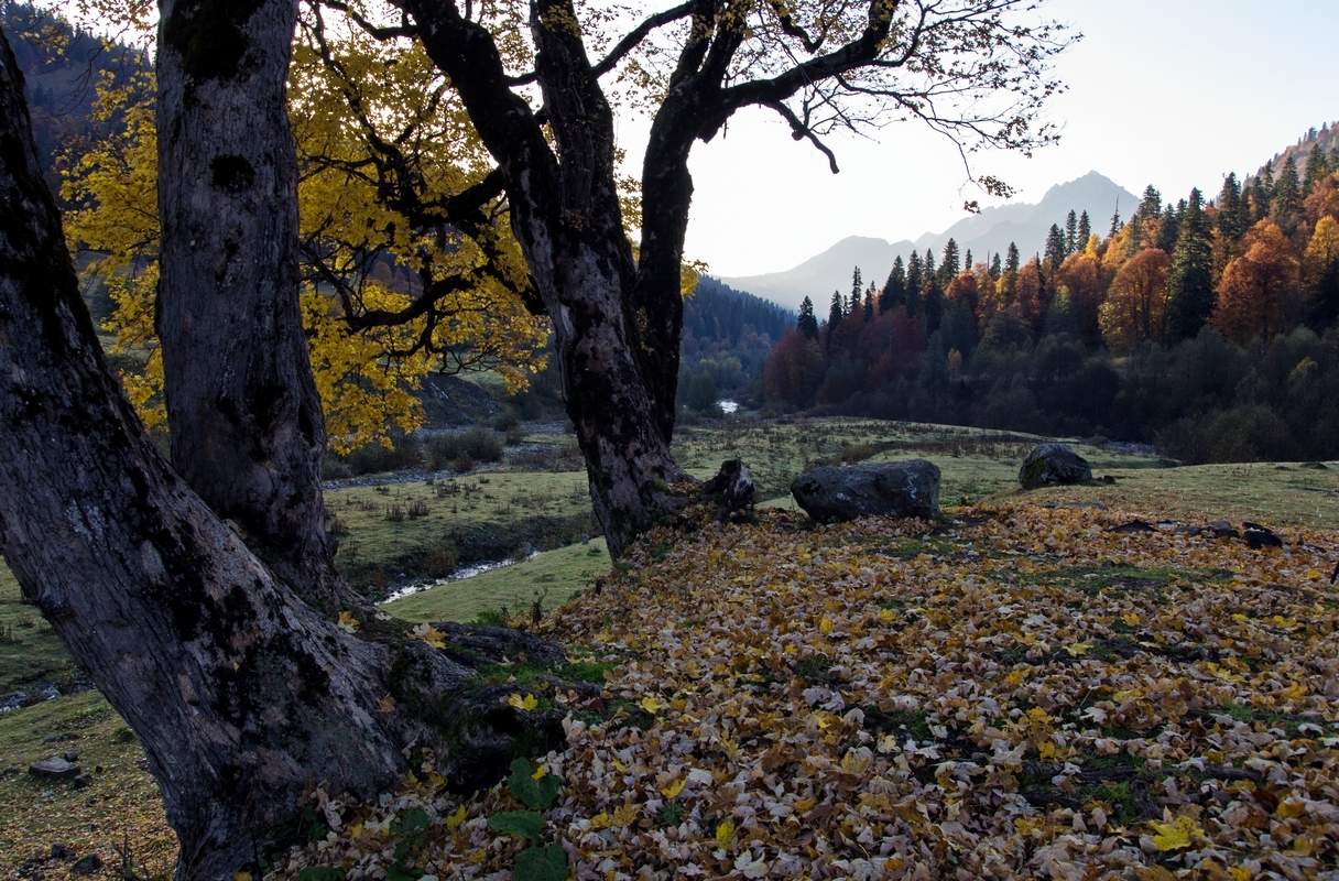 В ожидании солнышка...