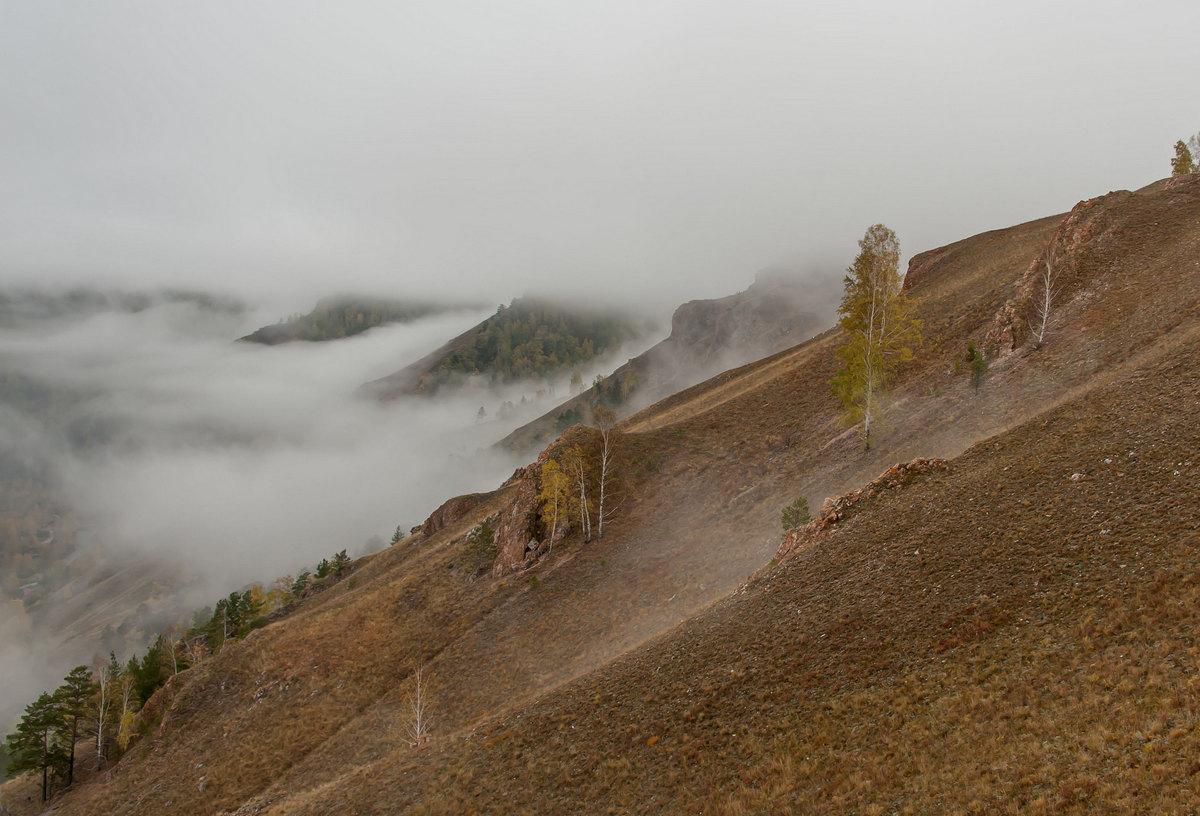 По склонам с туманами