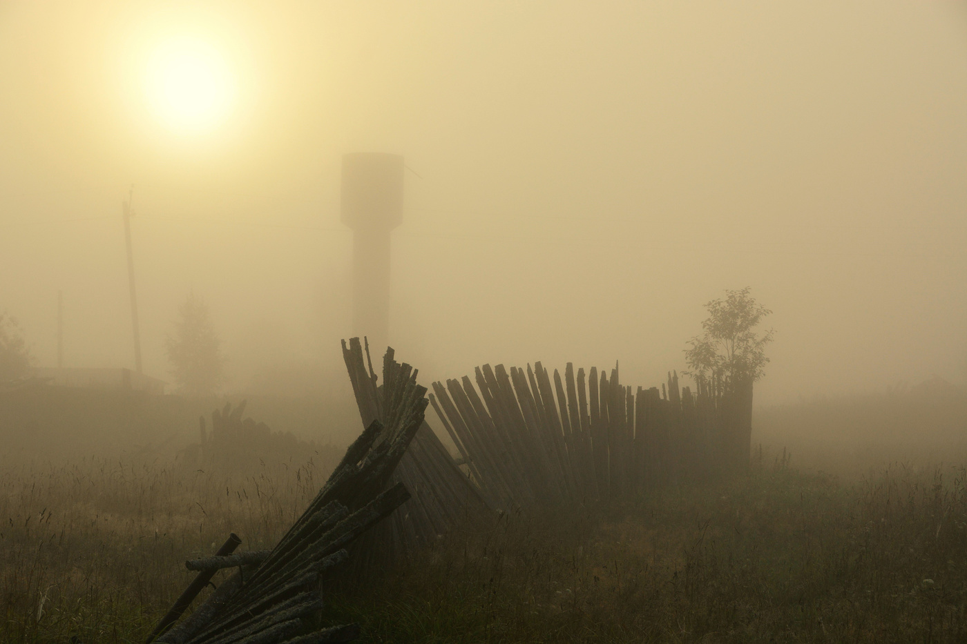 Сонное утро ...