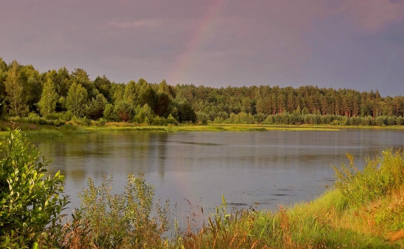 Гроза прошла и солнце выглянуло