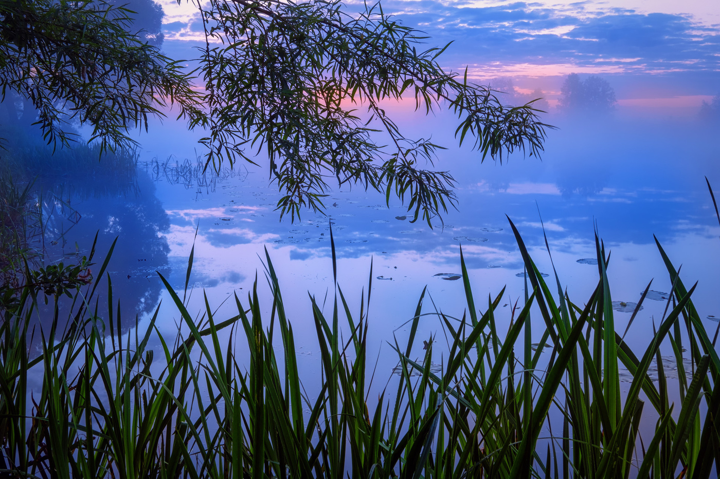 Рассветное