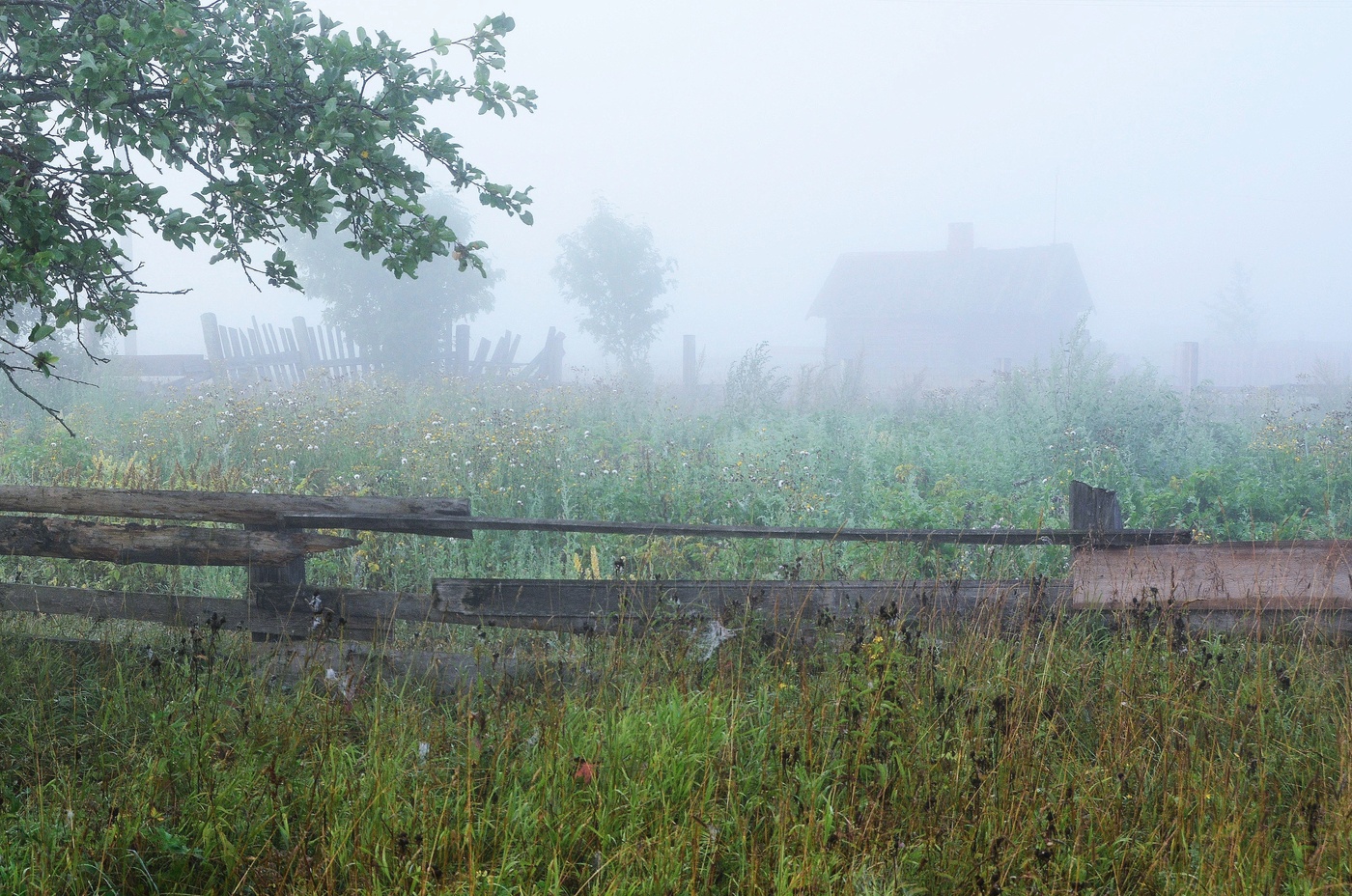 Утренний этюд ...