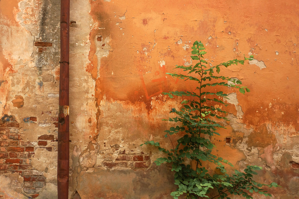 Несколько сцен из жизни труб