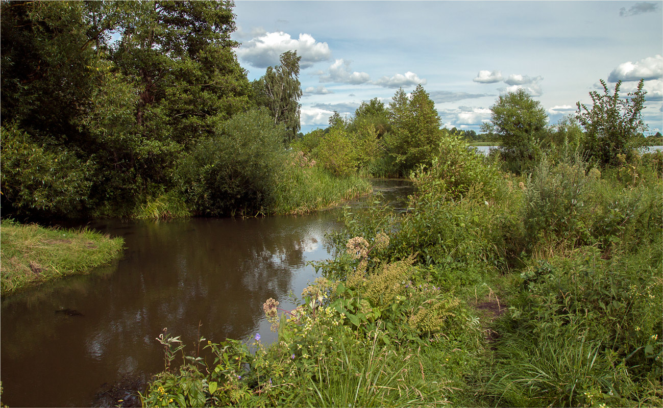 Рыбное место