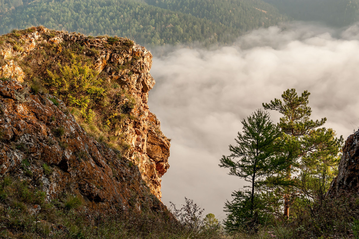 Про природу...