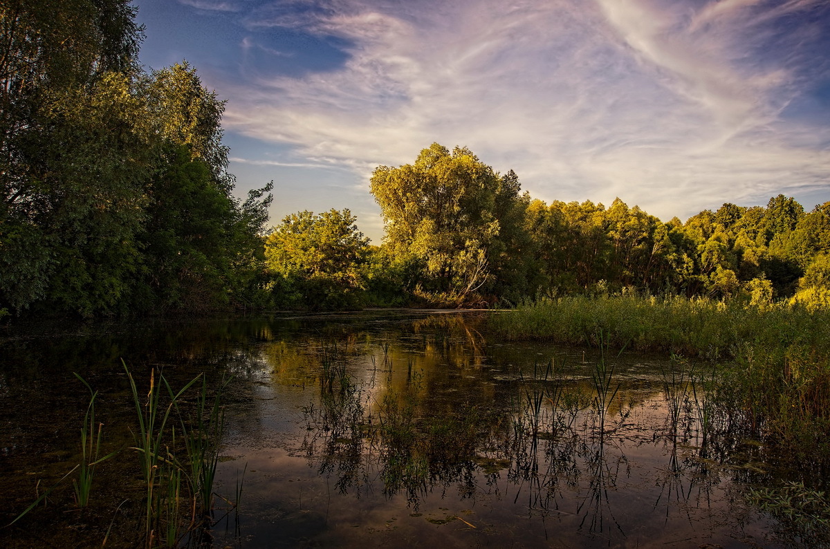 Близится вечер